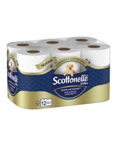 Toilet Tissue, 2 Ply,100 Sheets, Pack of 12 white 12 Rolls