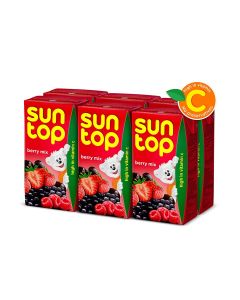 Berry Mix Fruit Drink 125ml Pack of 6
