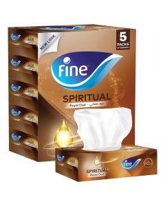 Sterilized Facial Tissues 2 Ply 120 Sheets Pack of 5 White