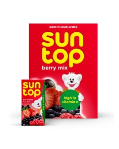Berry Mix Fruit Drink 125ml Pack of 18
