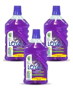 Surface Cleaner 3x2400ML Lavender & Jasmine