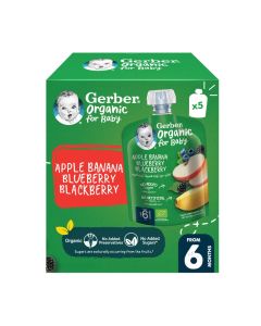 Organic Puree Pouch in Apple, Banana, Blueberry & Blackberry 90gm Pack Of 5
