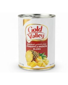 Pineapple Broken Slices 565g