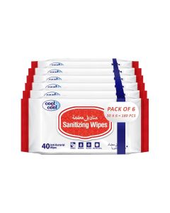 Sanitizing Wipes - 40'S (Pack Of 6) - Antibacterial Skin Wipes With Vitamin E,Kills 99.9% Germs,Convenient For Use,Aloe Vera Gel & Herb Extract,Moisturizing And Nourishing