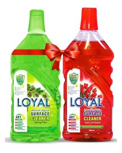 Surface Cleaner 2x800mlL Feast of Flowers + Spring Time