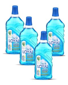 Surface Cleaner 4x800ML Seaside Breeze