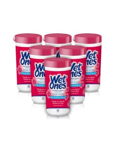 Wet Ones AntibacterialHand WipesFresh Scent Wipes Antibacterial Wipes Hand Sanitizer Wipes Wet Ones Wipes 40 ct Canister 6 pack