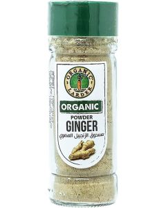 ORGANIC GINGER POWDER (40G)
