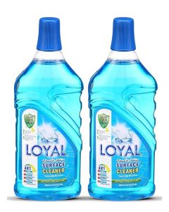Surface Cleaner 2x800ML Seaside Breeze