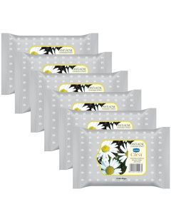 GINNI CLEA Wet Wipes Cleansing Makeup Remover Wipes Wet Tissues for Face Moisturizing Anti Acne 60 wipes