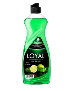 Dishwashing Liquid Mint & Lemon 700 ml
