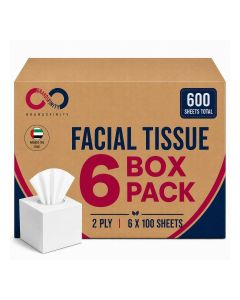 6pcs Facial Tissue Cube Box, Total 600 Sheets, 2 Ply Tissues, Premium Soft Feel, Highly Absorbent, Perfect Tissues for All Skin Types, Home, Office, Car, or Events