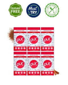 PUR Gum 100% Xylitol Chewing Cinnamon, Sugar-Free + Aspartame Free, Vegan + non GMO, 55 Count (Pack of 6)