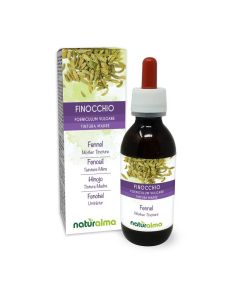 Fennel (Foeniculum vulgare) Fruits Alcohol-Free Mother Tincture Naturalma - Liquid Extract Drops 120 ml - Food Supplement - Vegan