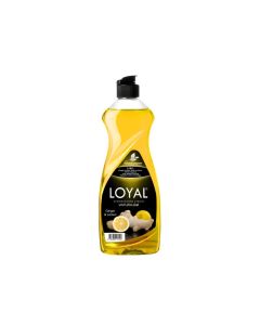 Dishwashing Liquid Ginger & Lemon - 700 ml