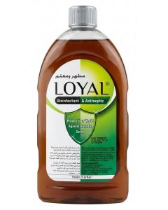 Disinfectant & Antiseptic Liquid 750 ML