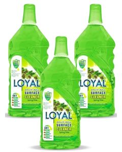Surface Cleaner 3x800ML Spring Time