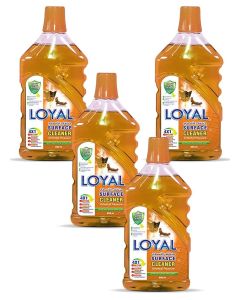 Surface Cleaner 4x2400ML Oriental Treasure