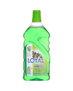 Surface Cleaner Spring Time 800 ml
