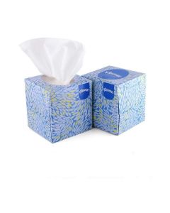 60039 2 Ply Facial Tissue Cube Box, 50 Pulls, Pack Of 2 (Total 100 Sheets)