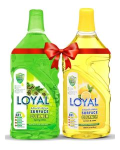 Surface Cleaner 2x800mlL Lemon & Lime + Spring Time