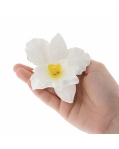 Global Sugar Art Cattleya Orchid Sugar Cake Flower White Large 1 Count by Chef Alan Tetreault