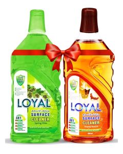 Surface Cleaner 2x800mlL Oriental Treasure + Spring Time