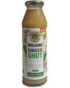 GINGER SHOT 280ML