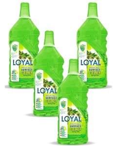 Surface Cleaner 4x800ML Spring Time