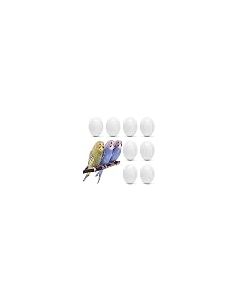 WOLEDOE 8Pcs Fake Bird Eggs Stop Egg Laying Budgie Parakeet Dove 14x19mm