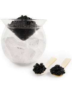 ThougrLyh Caviar Server Set Glass Caviar Dish with 2 Pcs Shell Caviar Spoons Chiller Server with Ice Holder for Shrimp Ice Cream Martinis and Cocktails Dishwasher Safe Caviar Serving Dish