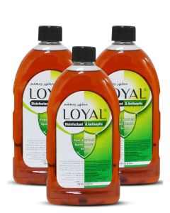 Loyal Disinfectant & Antiseptic Liquid 3x750 ml