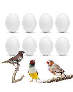 WOLEDOE 8Pcs Fake Bird Eggs Stop Egg Laying fit Finch Zebra Gouldian Artificial Eggs 12mm17mm