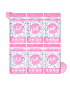 PUR Gum Aspartame Free Chewing Gum 100 Xylitol Natural Bubblegum Flavored Gum 55 Pieces Pack of 6