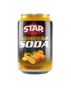 Ginger Soda Can