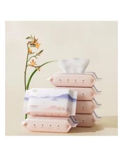 Ultra Soft Toilet Wipes Gentle and Skin Friendly, 20 Sheets Per Pack, Small Travel Pack Easy to Carry