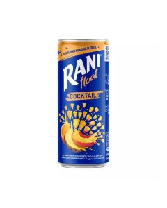 Rani Float Cocktail Mixed Fruit Juice With Real Fruit Pieces- 250ml