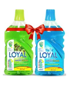 Surface Cleaner 2x2400ml Spring Time + Seaside Breeze