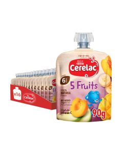 Fruits Puree Pouch In 5 Fruits 90gm Pack Of 16