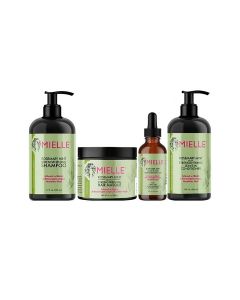 Rosemary Mint Complete Hair Kit- Hair Oil 59ml And Shampoo 355ml, and Conditioner 355ml And Hair Masque 340gm