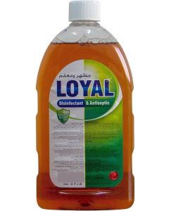 Disinfectant & Antiseptic 750 ml
