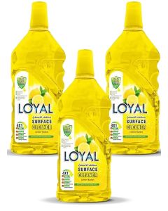 Surface Cleaner 3x2400ML Lemon & Lime