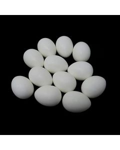 Honbay 12PCS Solid Plastic Simulation Pigeon Eggs Mini Dummy Eggs Hatching Eggs for Pigeon Hatching